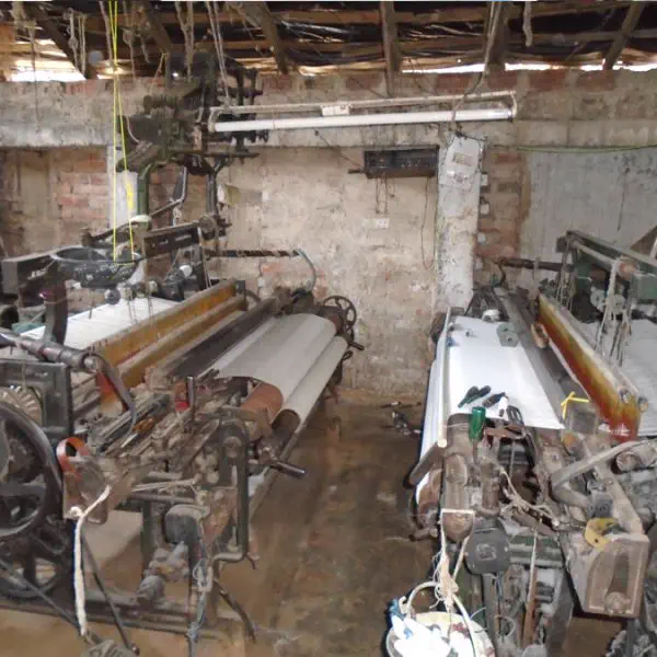 Bhagalpur – The Silk City: A Journey of Tussar Silk & Fabloom’s Heritage Handwoven Sarees