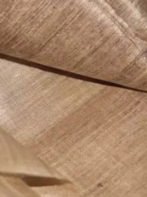 Raw Tussar Silk